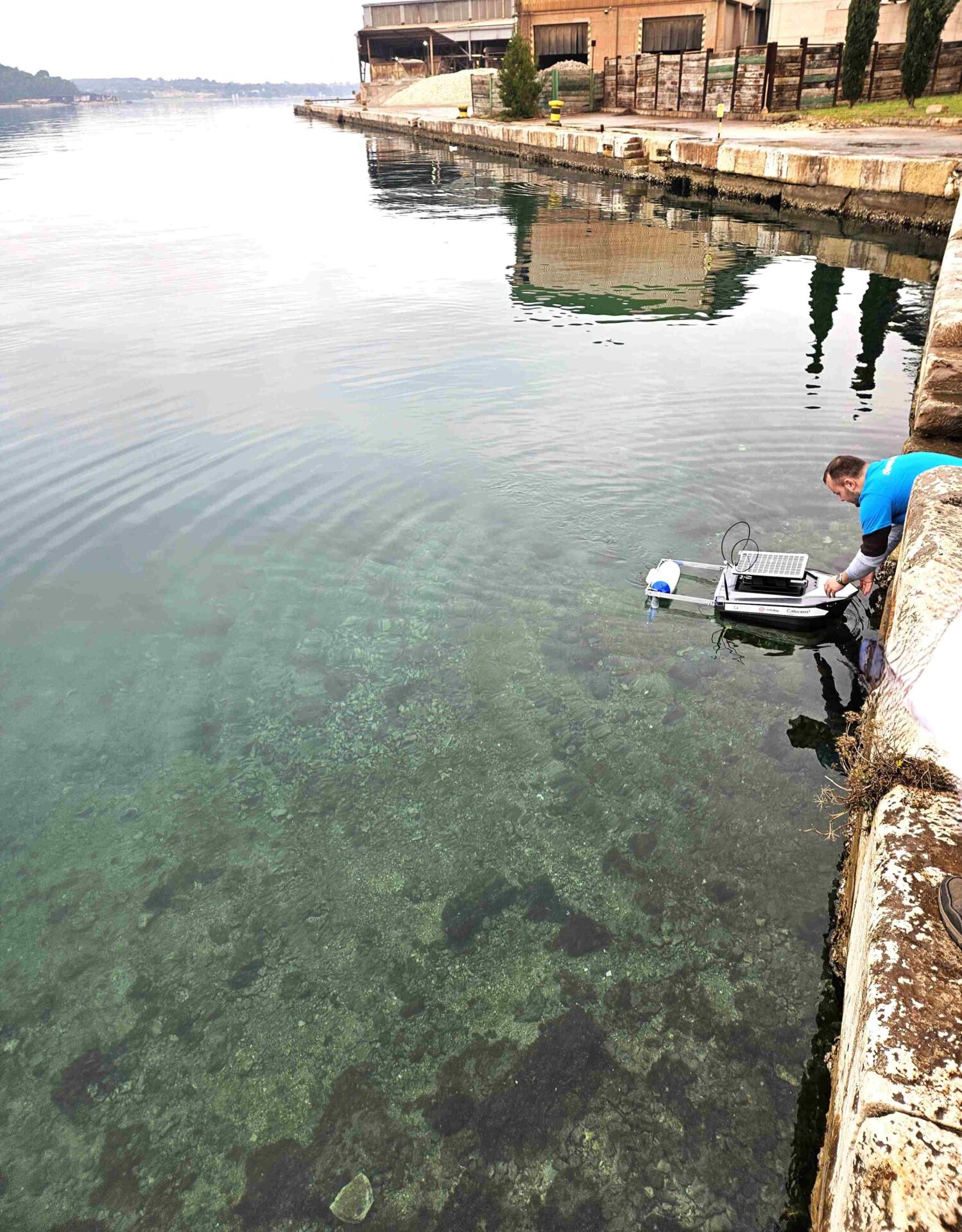 Calucem Supports Innovative Projects Tackling Environmental Challenges